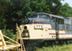 The poor old girl appears neglected.............